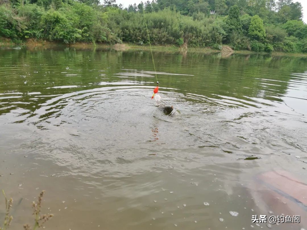 钓鱼主线收纳小技巧防止主线损伤,钓鱼主线怎么安装两个漂座