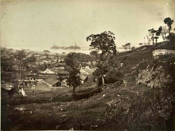 140年前的温州原来长这样！家乡的前世今生.