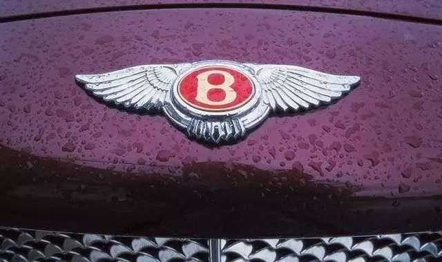 宾利黑色和红色标志,宾利有多少个绿色