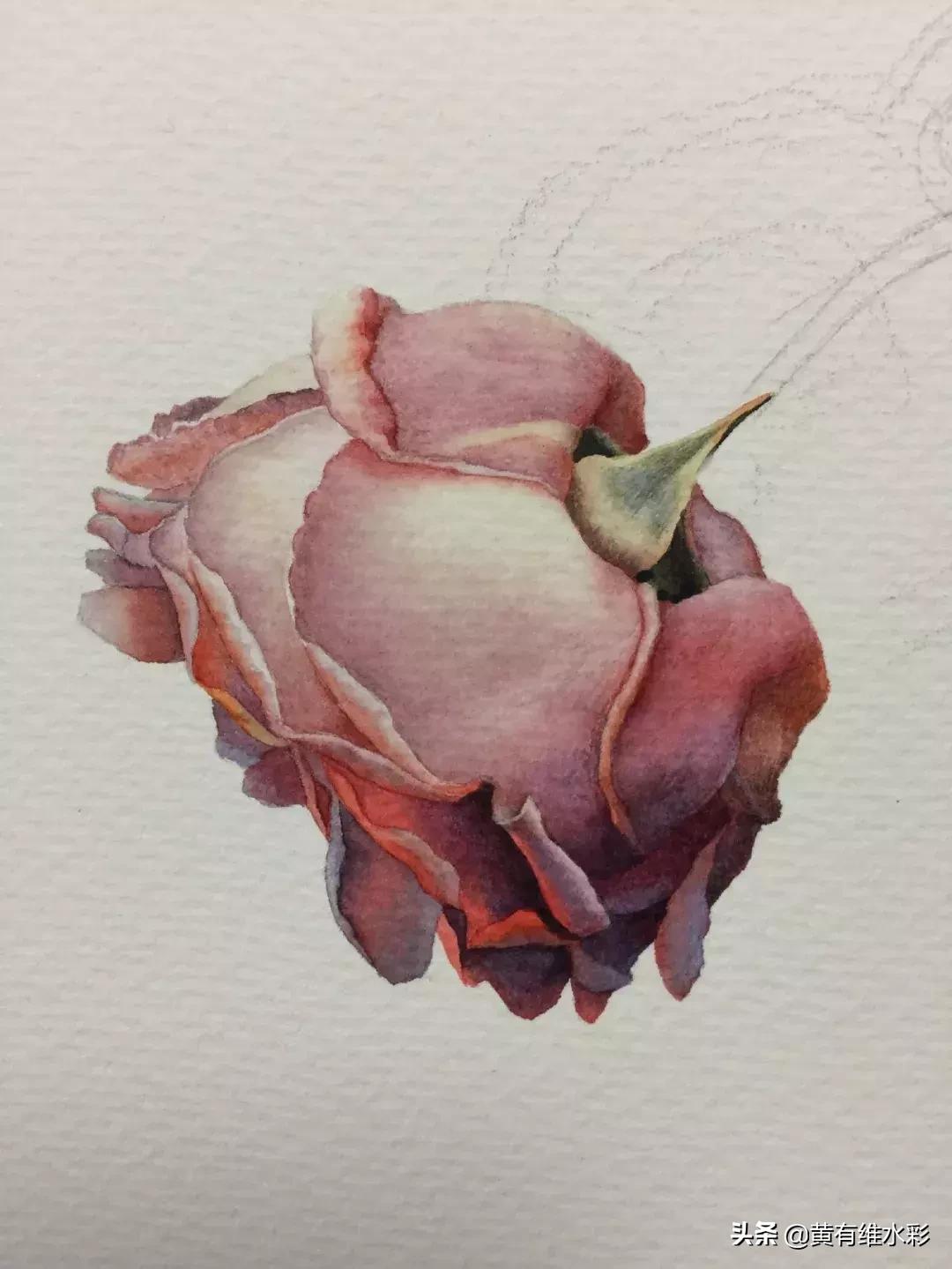 33朵玫瑰制作全过程,英伦花教程