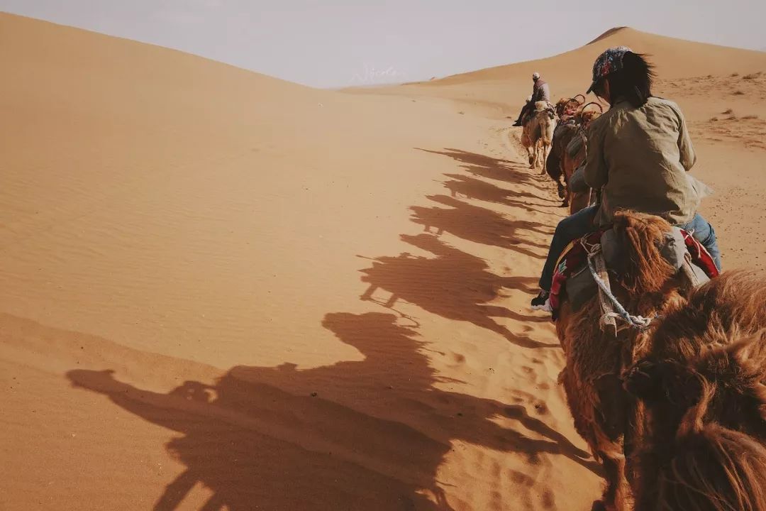 可盐可甜是哪首歌的歌词,可盐可甜出自哪