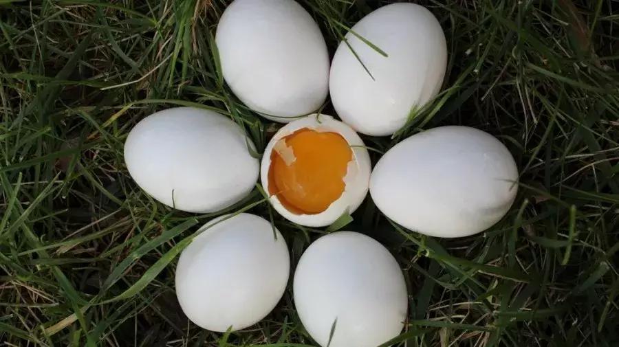 清理黑头的正确方法,黑头清理的简单正确方法