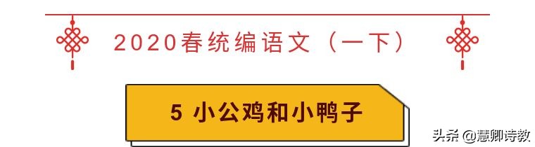 语文小公鸡和小鸭子讲解,语文微课堂小学