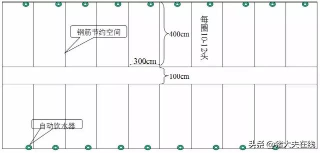 养猪猪舍设计建造,养猪最好的猪舍建造方法