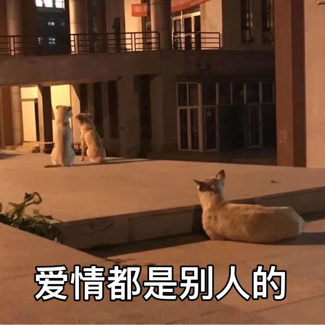 河北科技大学排名全国第几,河北科技大学怎么样好不好