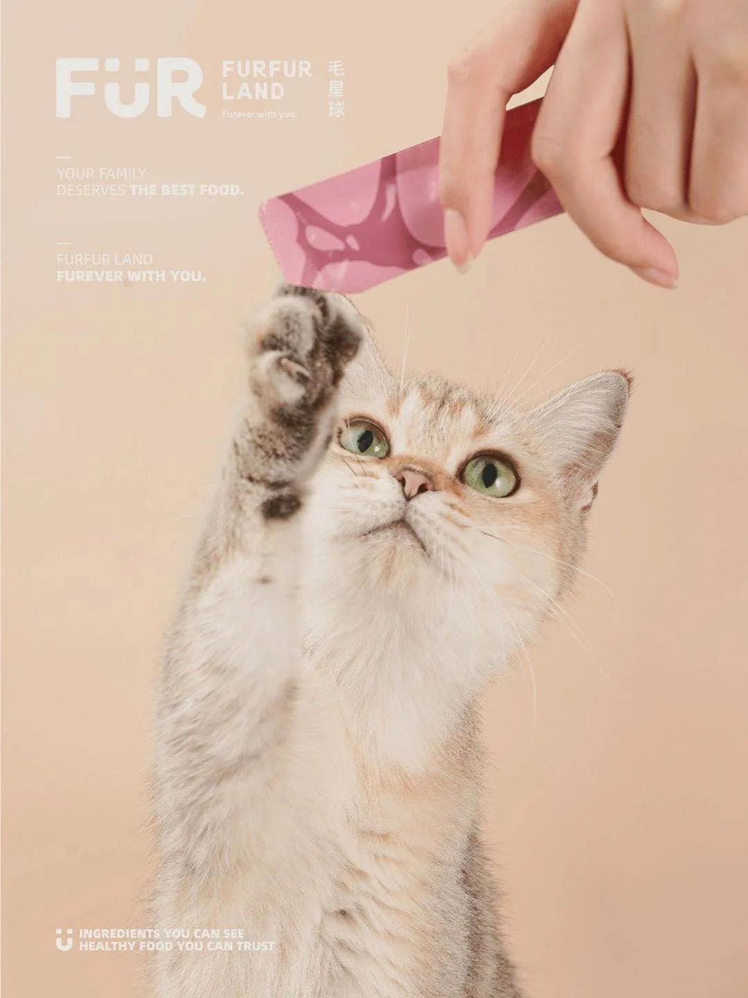 从铲屎官到创业者，他带领FURFURLAND销售额增长15倍