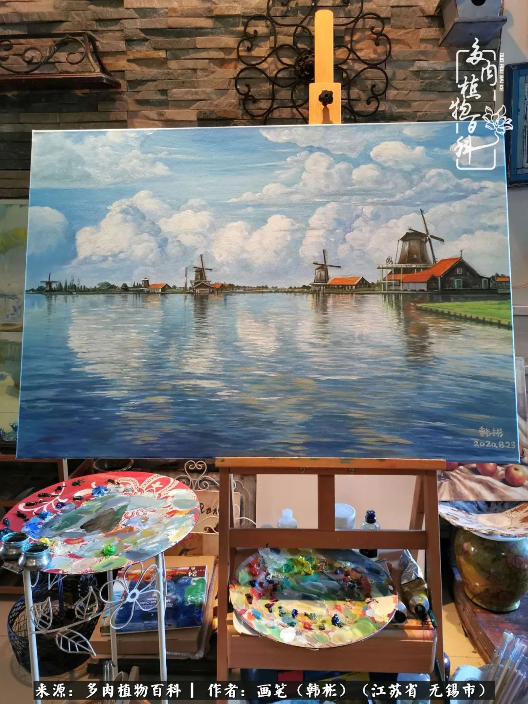 阳台多肉花园简直美翻了,适合男生养的多肉