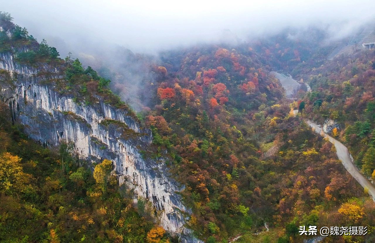 留坝秦岭之夜,留坝秦岭森林公园
