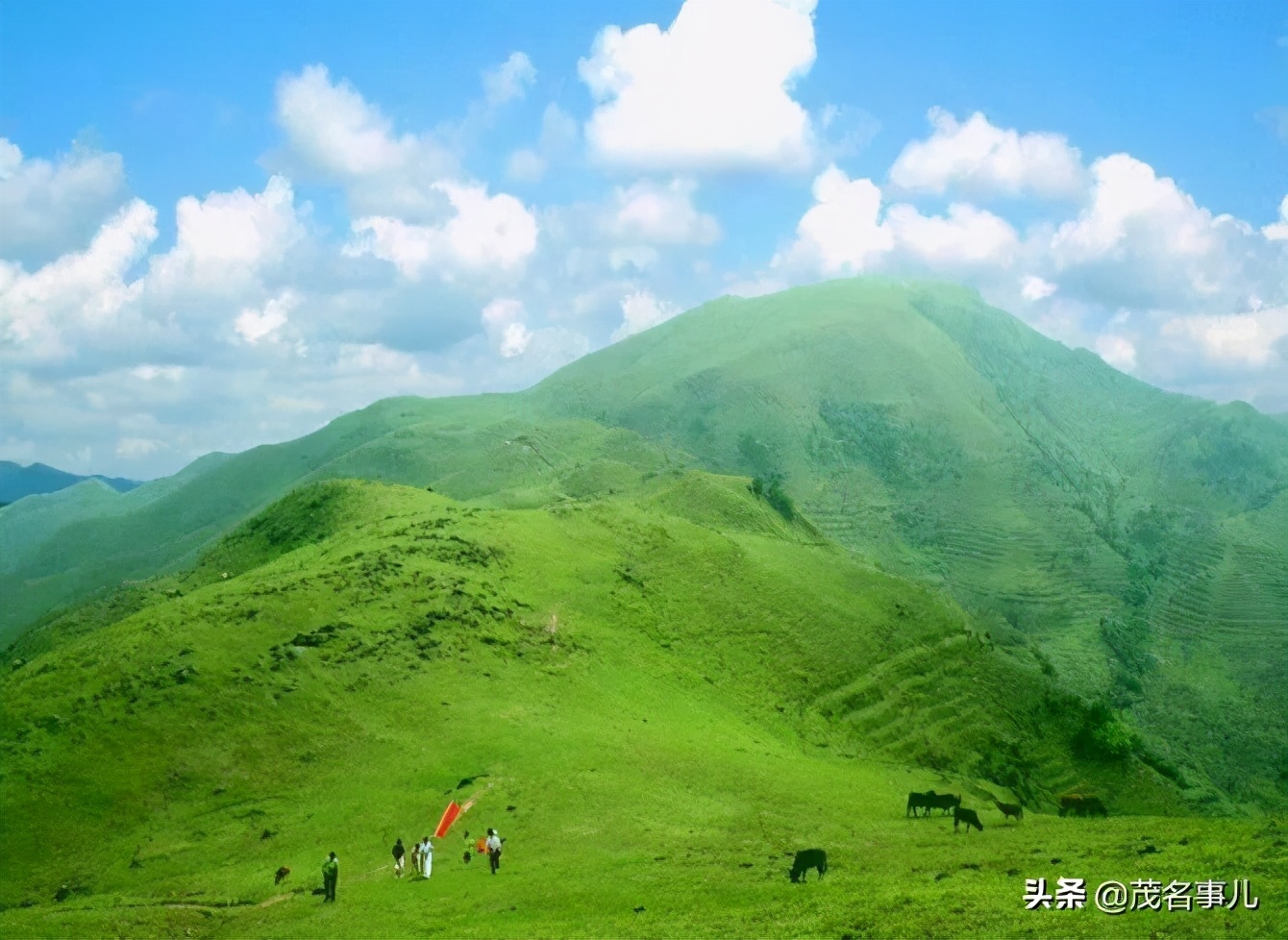 茂名哪个地方热,茂名很漂亮的风景