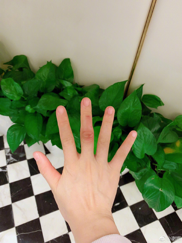 谢娜在节目里自曝产后,谢娜产后的现状