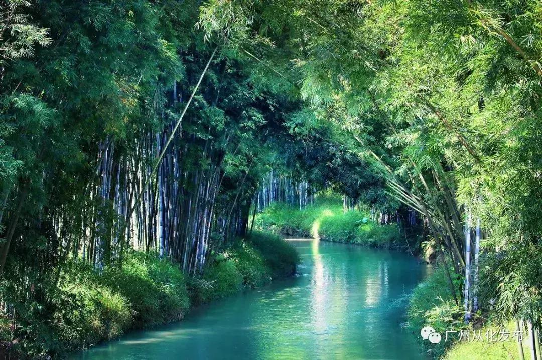 从化一日游最佳去处民宿,从化旅游线路攻略大全最新