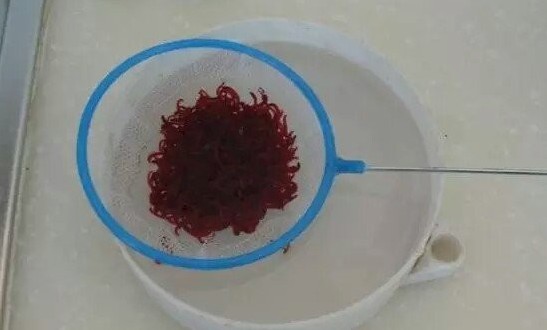 怎样把死红虫分离出来,继续分享红虫分离新技术