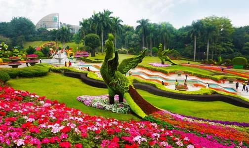 去了广州必去的十个地方,到广州最值得去的地方