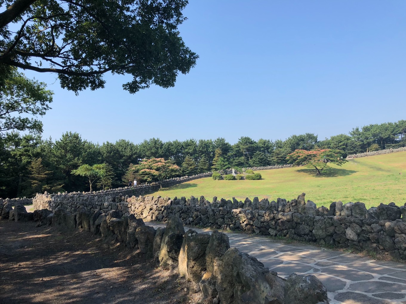 不会韩语如何去韩国玩,不会韩语怎么去韩国旅游