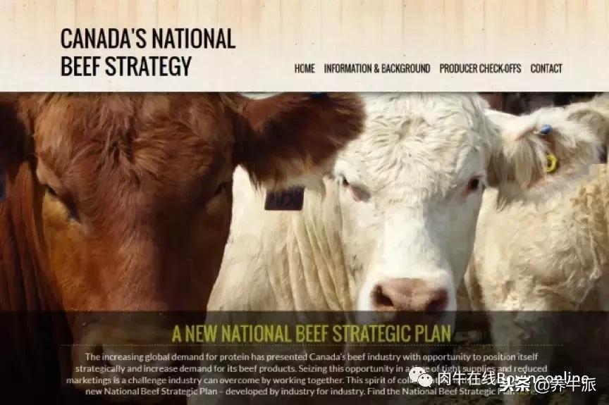 加拿大肉牛产业发展动态,加拿大肉牛发展