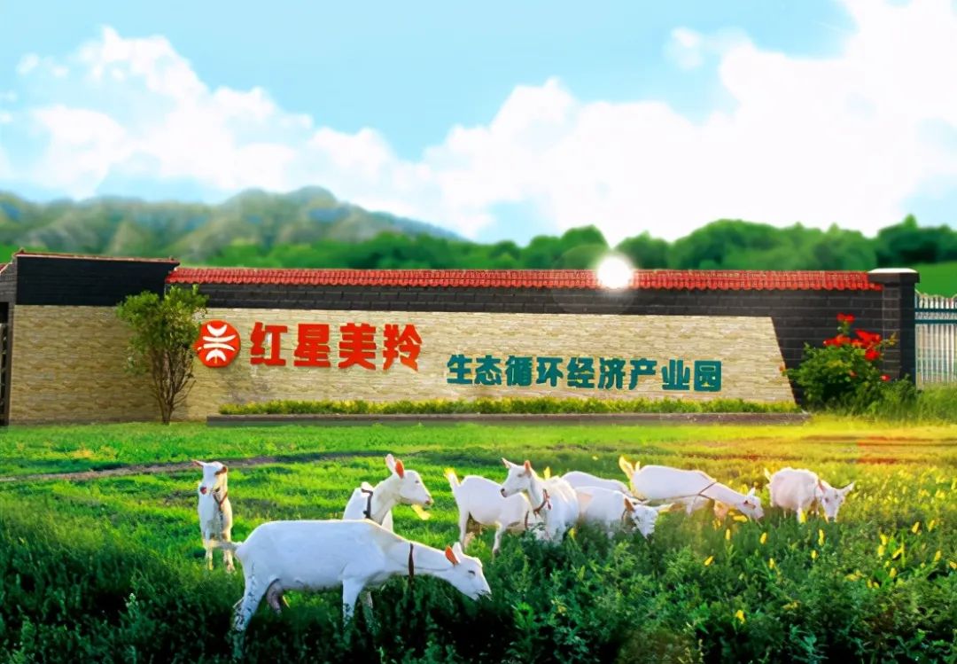 三胎政策利好白酒,三胎政策利好哪些上市公司