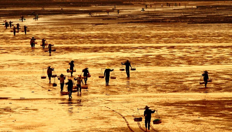 福州一座“吃香”小县城，被赞为“中国鲍鱼之乡”，前途一片光明