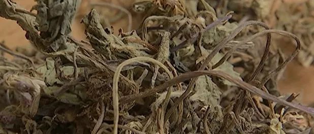 肝不好喝什么汤护肝养肝,春天养肝护肝多喝这10款汤