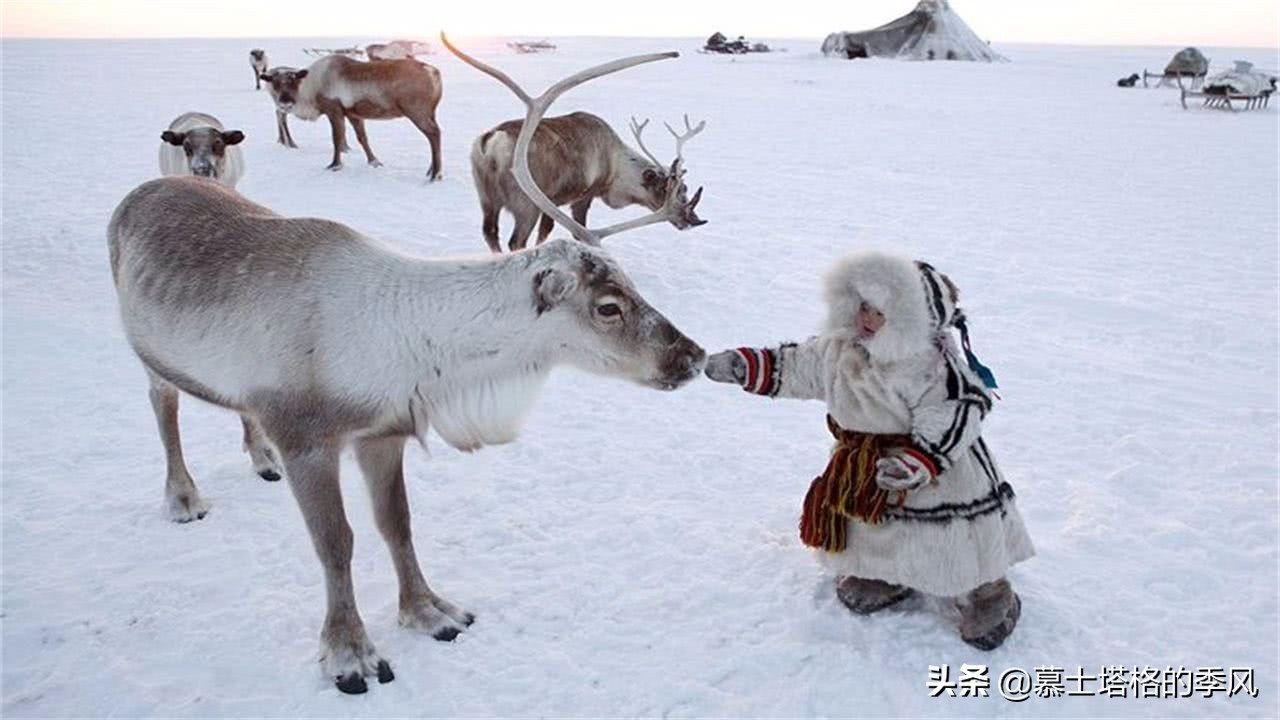 俄罗斯人为何很少到中国旅游呢,俄罗斯人为什么喜欢去北戴河