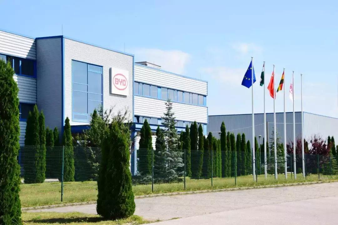 深圳十大最有潜力的公司,深圳最赚钱的公司排名