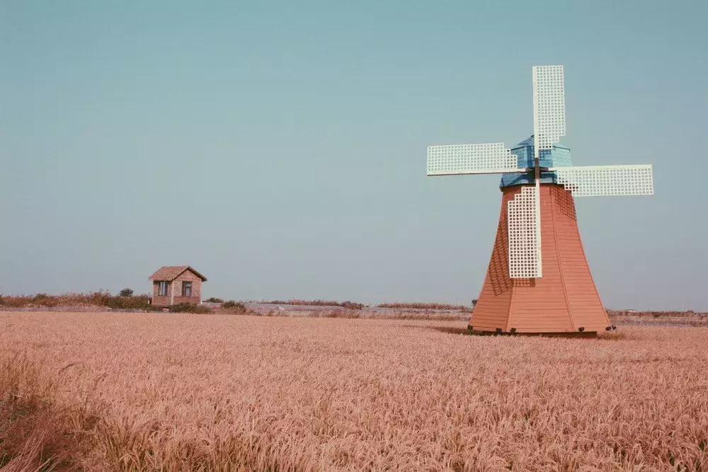 泼辣活动|“希望的田野”地铁影展征集