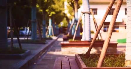 上海回不去的青春,上海市建平中学老照片