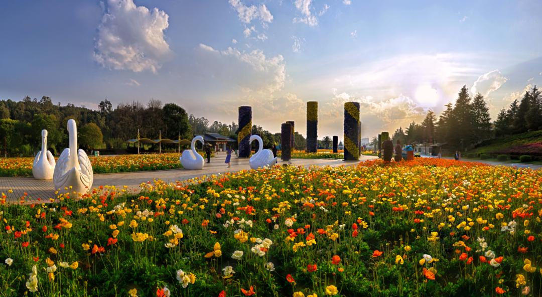 收好这份云南最新5a景区名单,云南的5a级景区有哪些