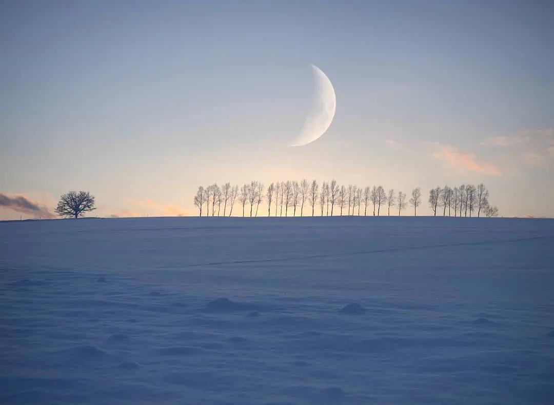 北海道的雪有多美,北海道到底有多吸引人