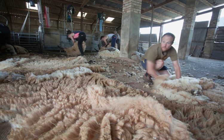 maxmara大衣101801适合小个子吗,maxmara101801大衣属于什么档次