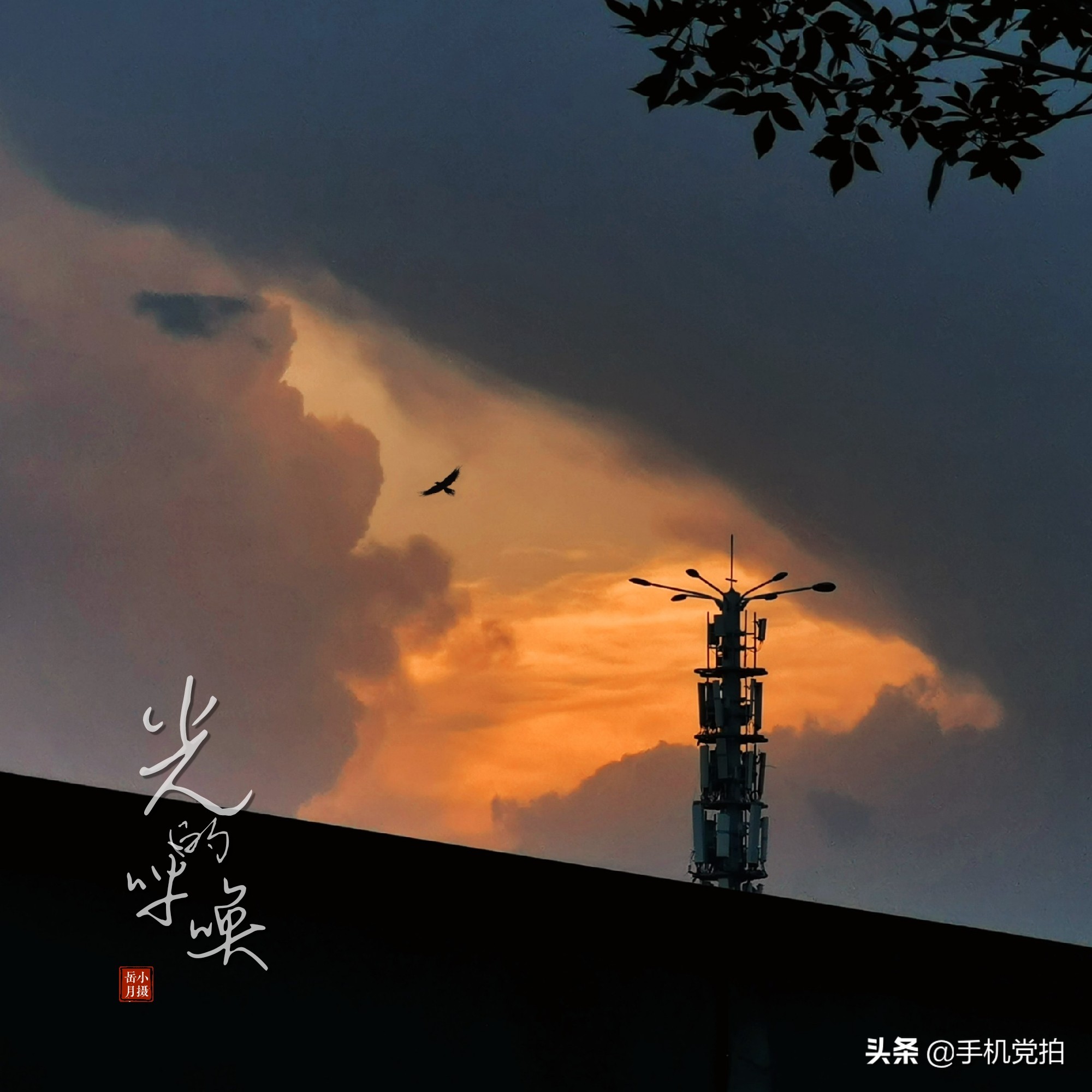 用照片做印章,用图片做印章底板