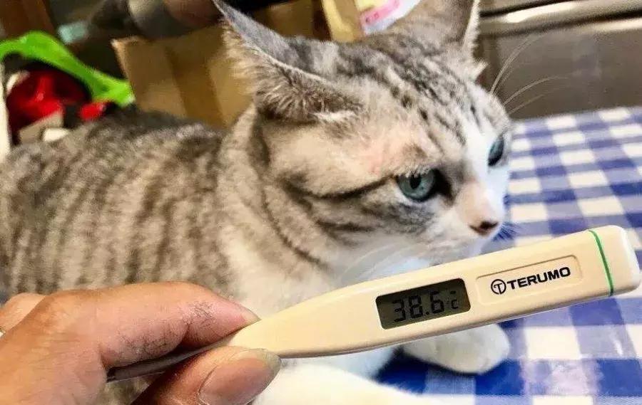 比垃圾分类还难的是看病挂什么科!全套攻略都给你总结好了