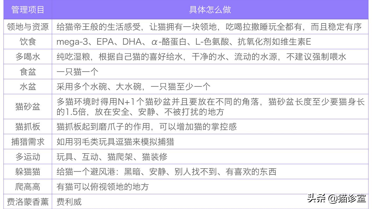 猫膀胱炎吃什么药最见效,猫膀胱炎多喝水能自愈吗