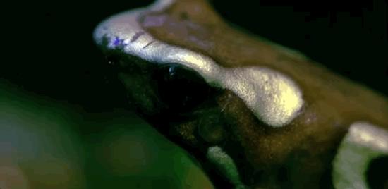 有钱人的世界真的不能想象,有钱人的世界真的难以想象