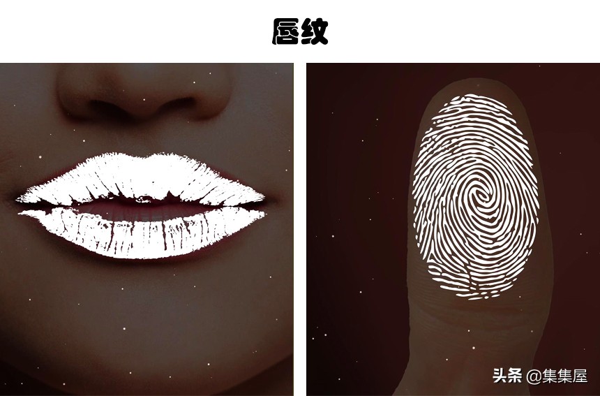 世界上最奇特的指纹,除了指纹还有什么是独一无二的