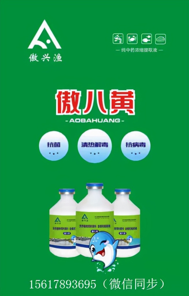 草鱼烂身病的原因和治疗方法,草鱼苗发黑烂身是怎么回事