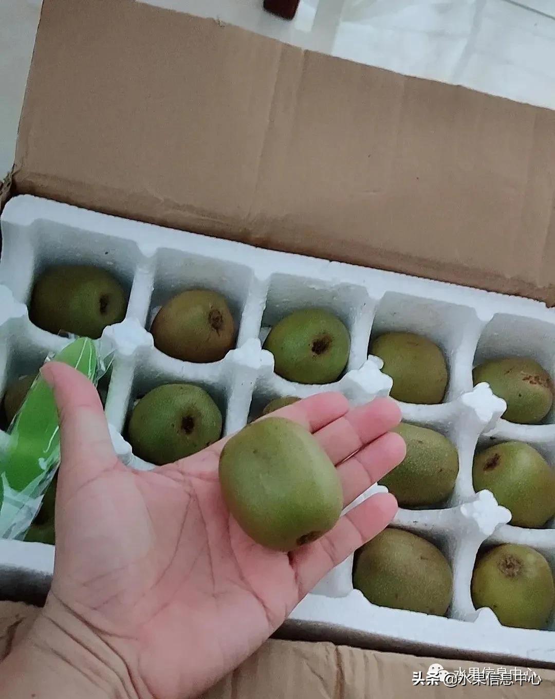 在网上买水果遇到假货怎么办,网上购买水果会被坑吗