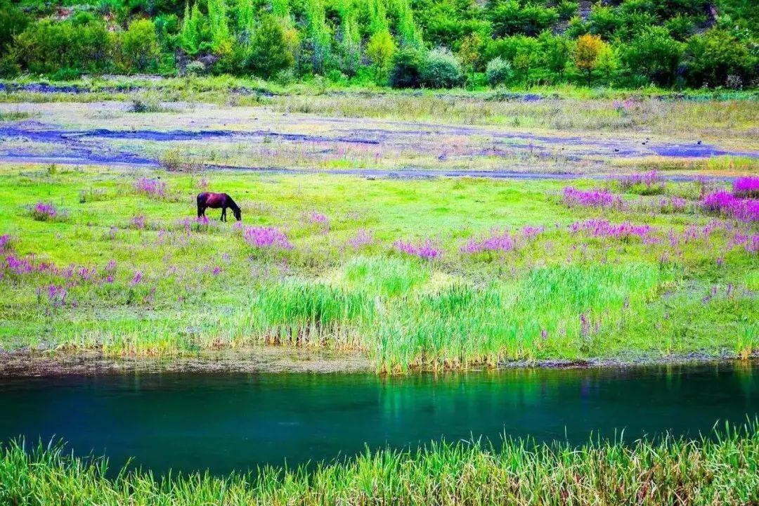 九寨沟旅游神奇的九寨,九寨沟风景不输瑞士