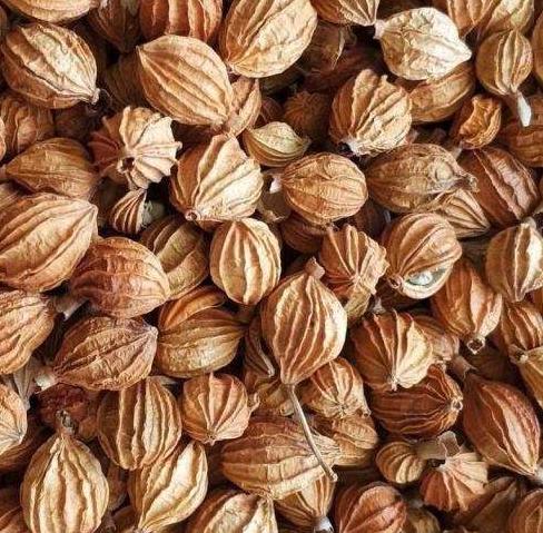 绝密34种常用香料的名称与用途,揭秘34种常用香料名称与用途