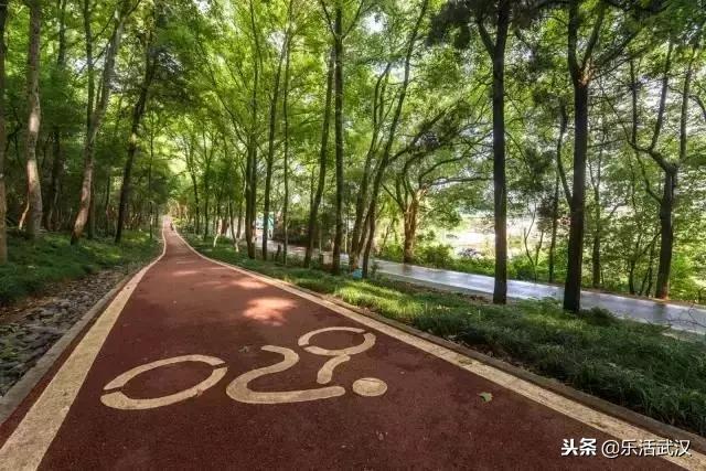 武汉新春过年坐地铁打卡攻略,来武汉一定要做的50件小事