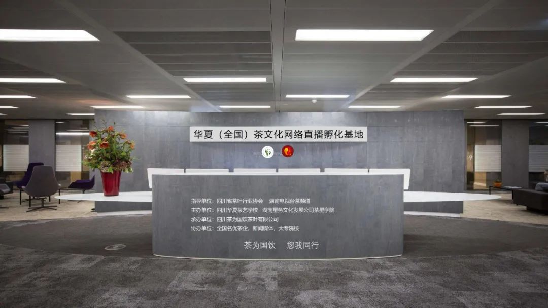 四川观茶｜华夏茶学携手湖南茶频道，打造茶文化最有价值网络主播