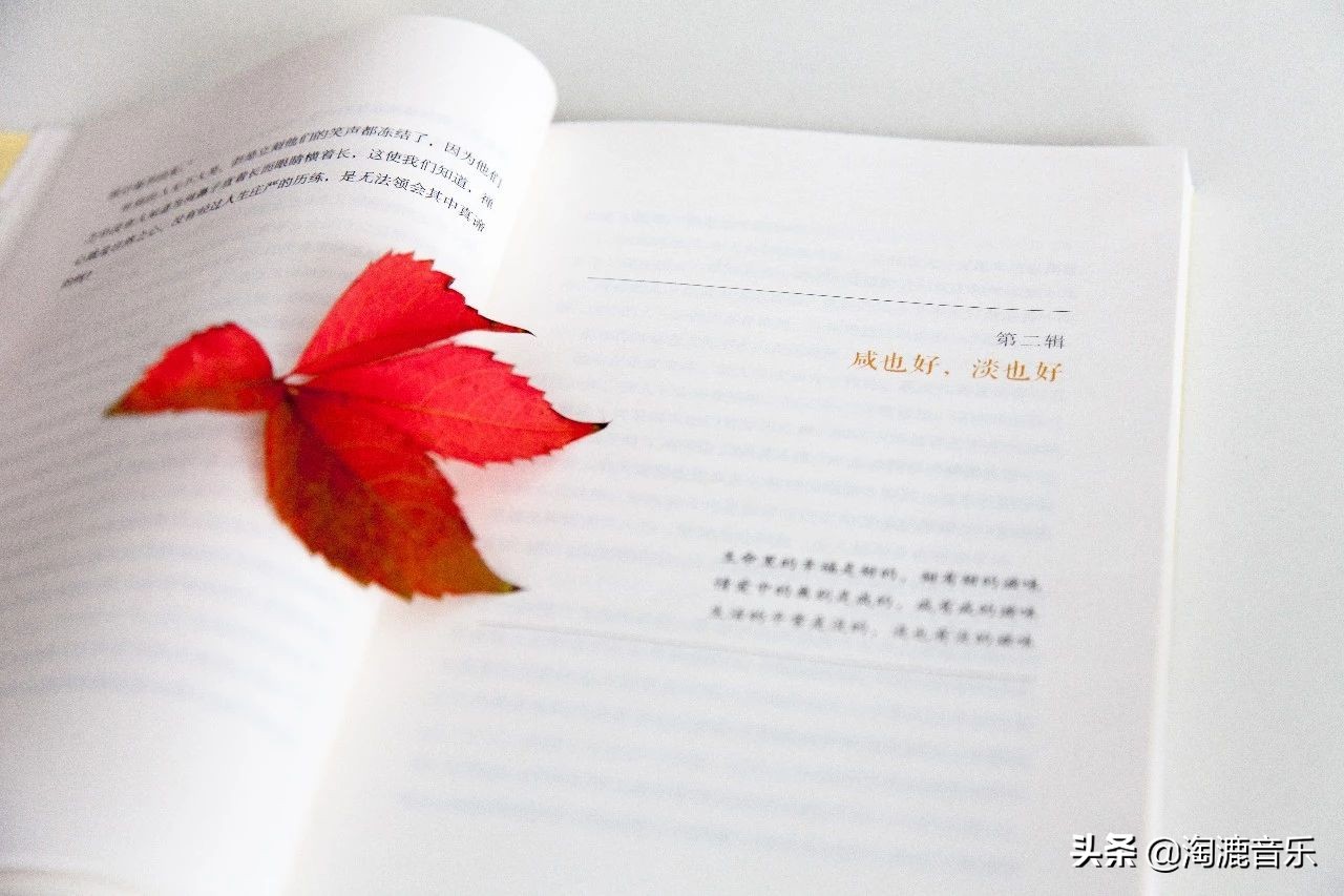 林清玄：走好人生路，最重要的是做好现在