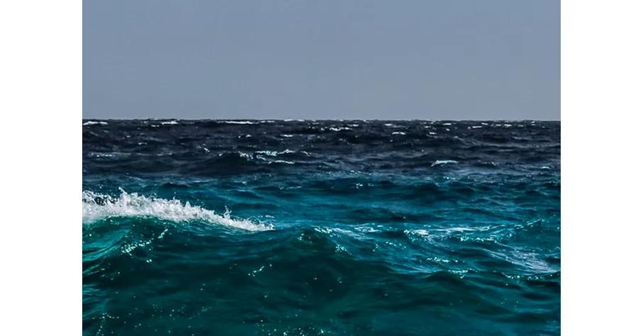 儿童画海洋生物简单画法,4-6岁儿童画海洋颜色