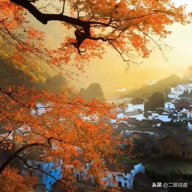 婺源篁岭油菜花摄影,婺源的秋天简直把摄影师逼疯