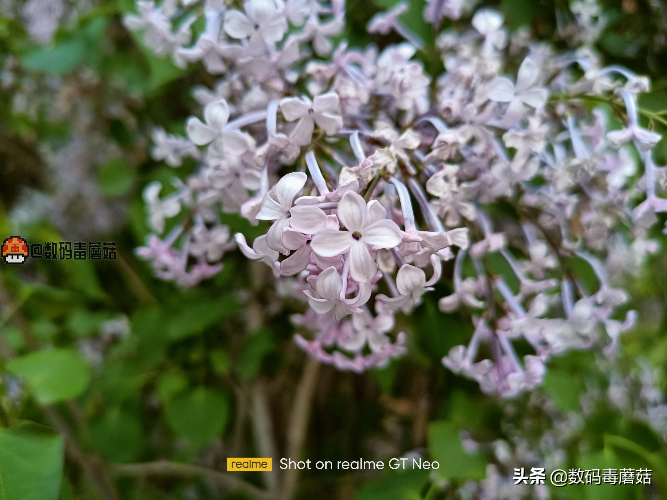 realme真我gtneo5旗舰新机怎么样,全新realme真我gtneo优点缺点