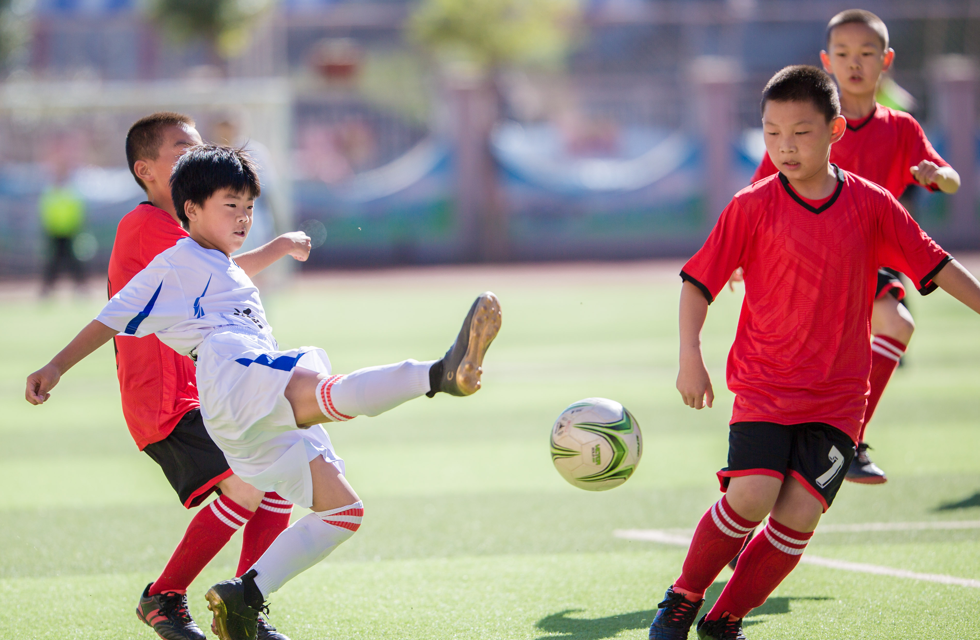 呼和浩特新城区区长杯比赛小学组,呼和浩特市市长杯足球赛官网