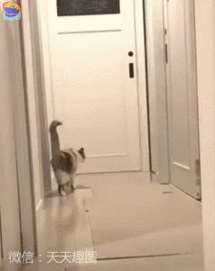 搞笑动图gif女司机,搞笑动图gif图片哪里下载