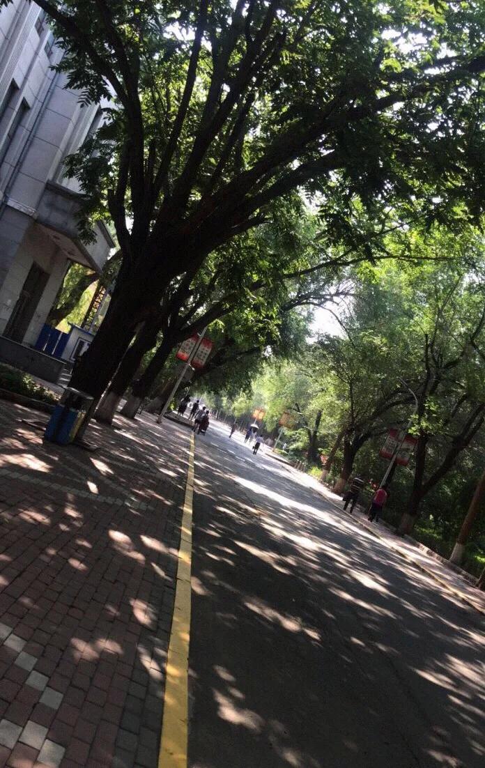 黑龙江中医药大学第二附属医院,黑龙江中医药大学研究生录取分数