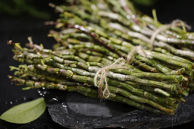 甘草学园|燥湿同病的用药三法和临证举隅