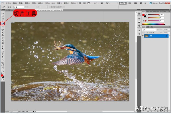 Photoshop切片：教你如何创建切片，很简单