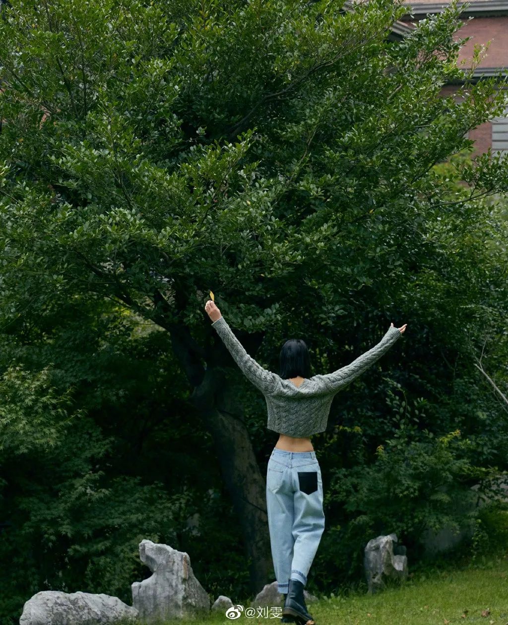 业内人士评价刘雯,刘雯到底有多难